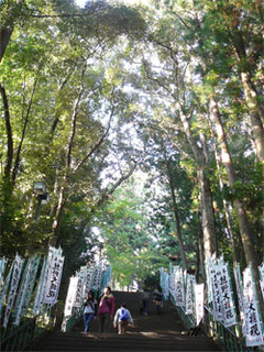 和歌山県熊野本宮大社の階段