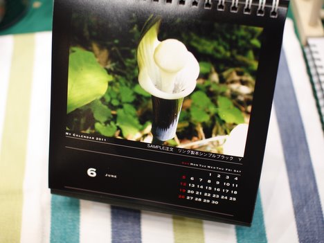 富士フイルムのマイカレンダー