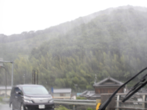 台風12号の雨と有田地域の山