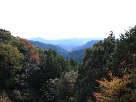 熊野古道　伏拝王子から見た景色